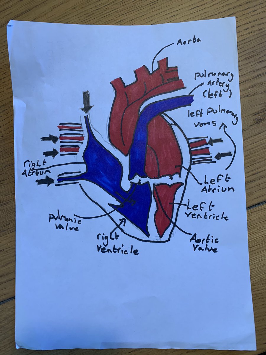 mamalloyd16's tweet photo. @St_Benets thanks so much Mr Biggins! Reuben from @StMarysSchoolRC loved science today 🥰 https://t.co/N845DPDBUP