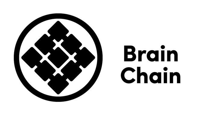 Brain Chain