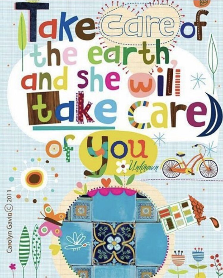 Christina Bertolacci tweet media