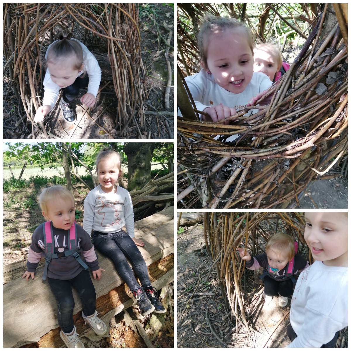 TerriMorgan3's tweet photo. @ChilternPSHull Rosa-Leigh FMG school work today. She enjoyed having some proper fresh air and a good walk https://t.co/WJ78SJHVGD