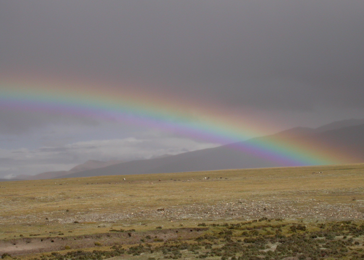 🌈