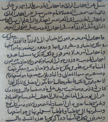 Gelenekte "Ashabu'r-rey" doktorlara, "Ashabu'l-hadis" ise eczacılara benzetilir.  Hadisçiler, eczacıların ilaç yapması ve hastalara verilmek üzere doktorlara sunması gibi hadisleri toplayıp onları gerekli yerlerde kullanmaları üzere fakihlere teslim ederler.