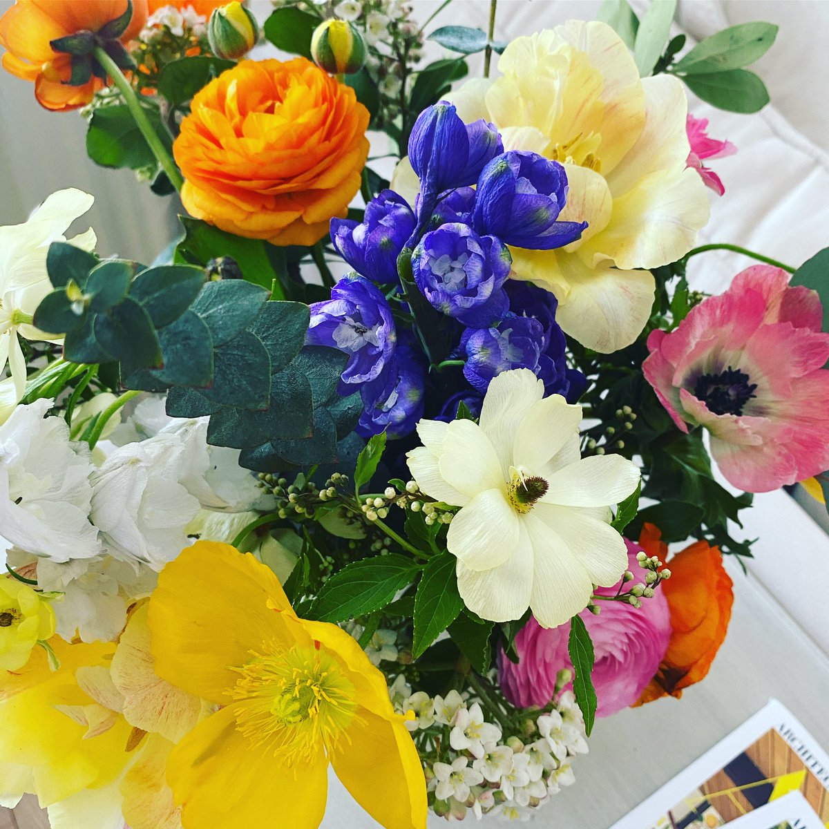 💗💛🧡🤍
.
.
.
.
.
#colormehappy #flowers #freshcutflowers #fieldsofflowers #colorfulliving #colorinspo #interiordecor #homedecor #springthings #findbeautyeverywhere 🌷