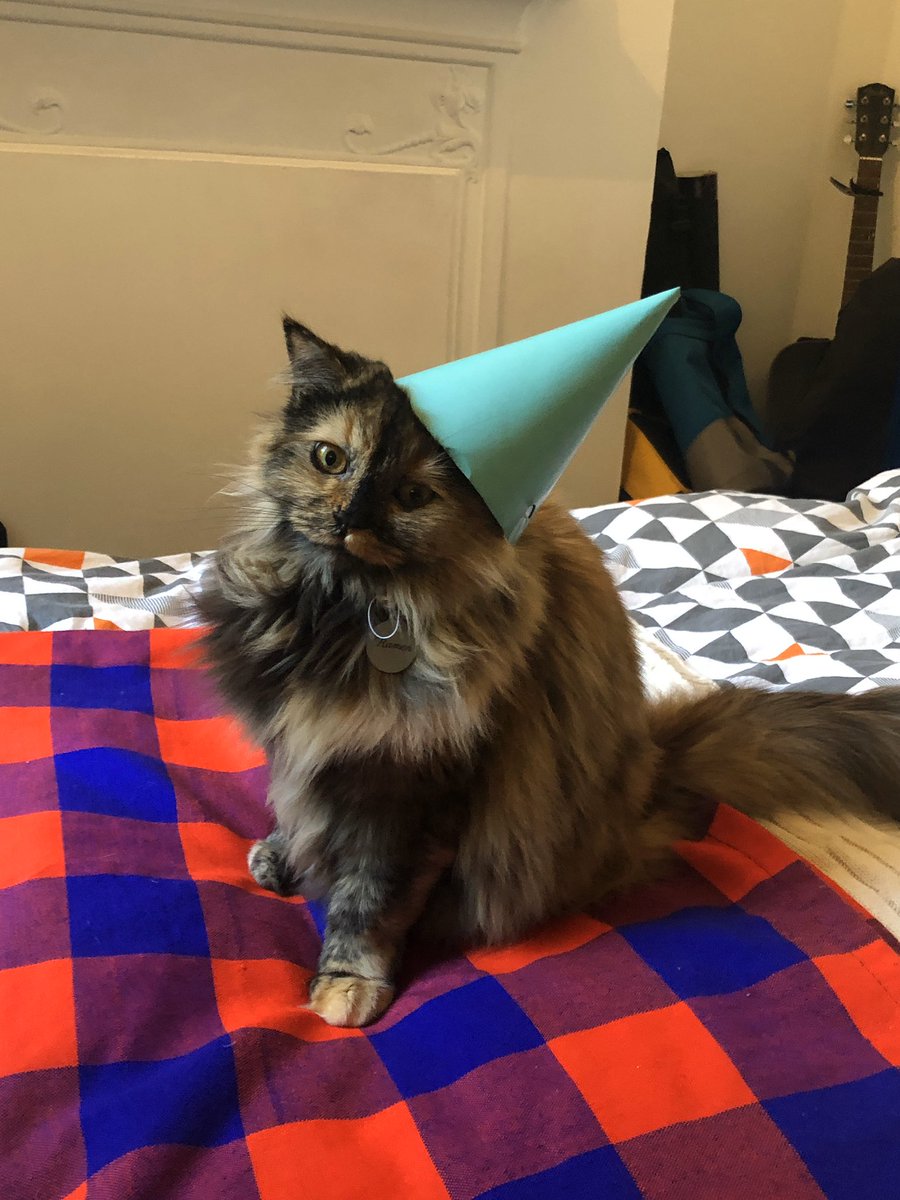 Shari Mang tweet media