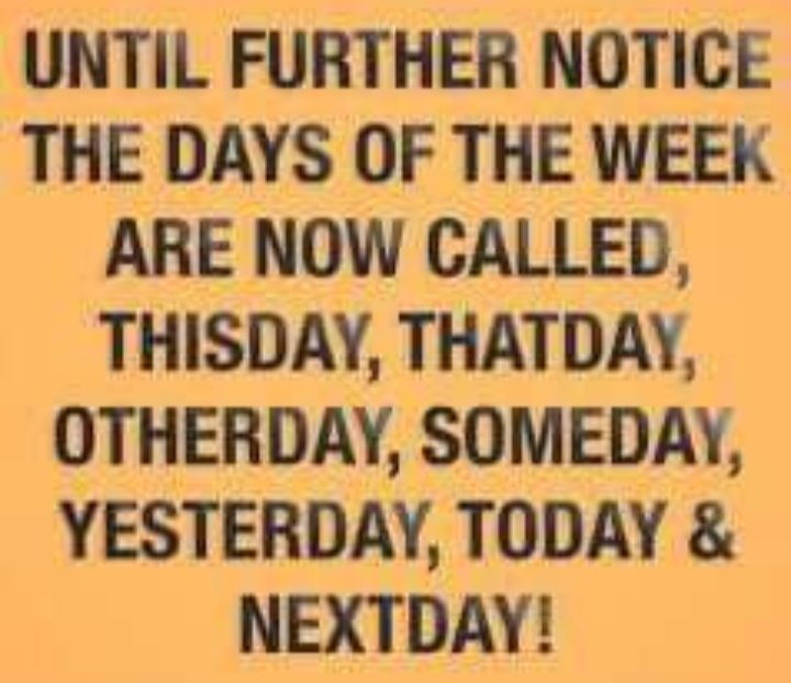 john bloke tweet media