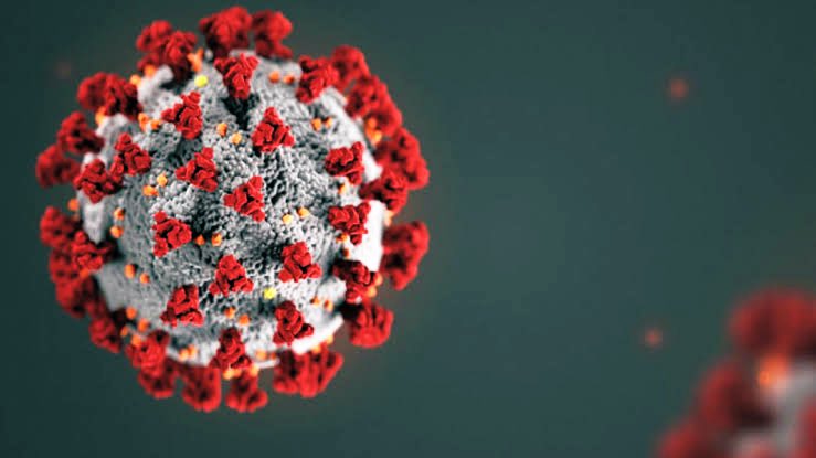 Simplicity is the ultimate sofistication look at corona.; how that tiny simple creature created such a kaos on our complex world