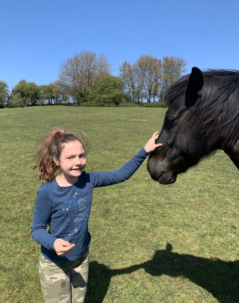 BrookfieldLear1's tweet photo. So proud of Lacey, she is getting to grips with home learning, by complimenting her theory sessions with baking, exercising, trampolining, and visiting her gorgeous horse! 
Ps the chocolate cake looks so scrummy!! 🙋🏼‍♀️ Save me some!! 
#homelearning #proud #Y7 #resilience https://t.co/aFL2FymKeY
