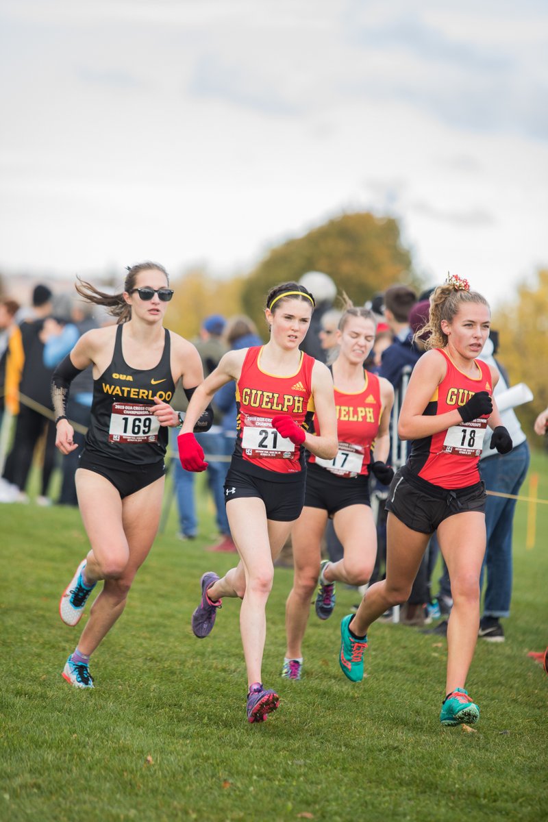 Guelph Gryphons tweet media