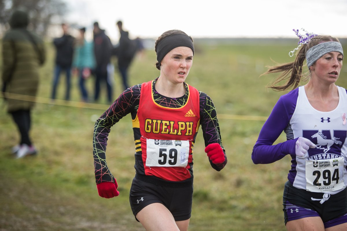 Guelph Gryphons tweet media