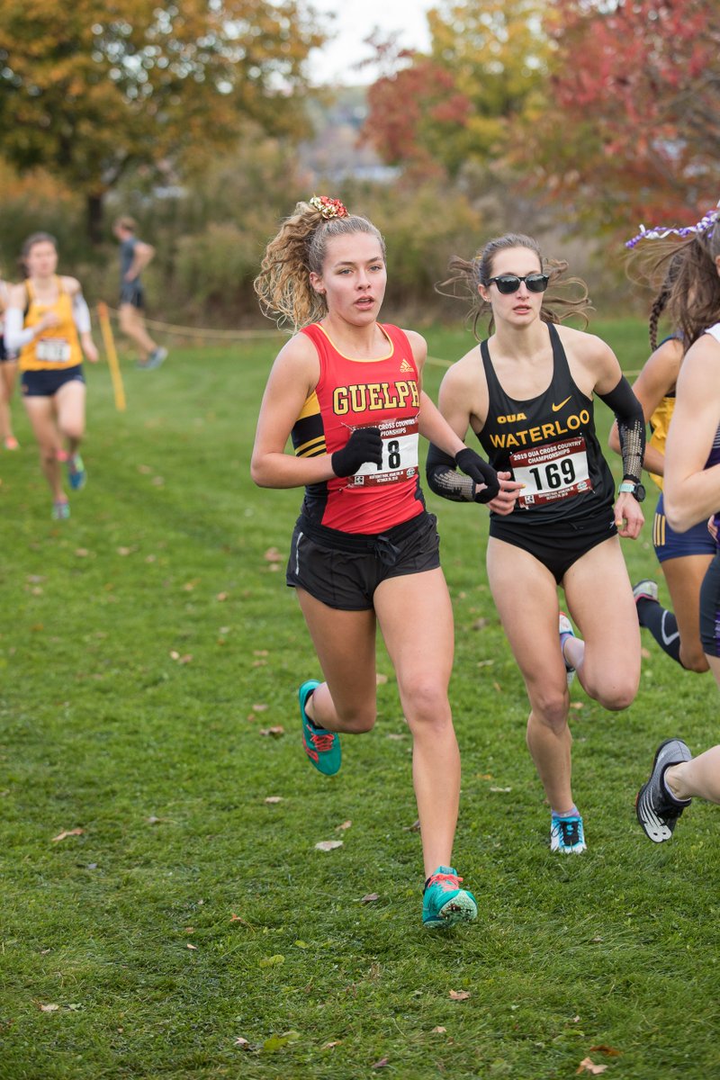 Guelph Gryphons tweet media