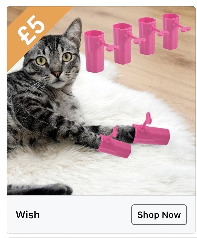 The best Wish adverts I’ve had aimed at me: a thread 1. Plastic gloves for my cat. I don’t own a cat and if I did I don’t think I’d make it wear plastic gloves