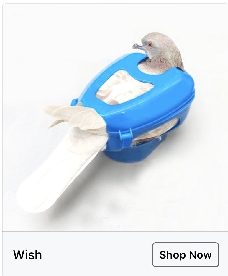 5. A handy pigeon shaped feather holder?? Who doesn’t need one of those