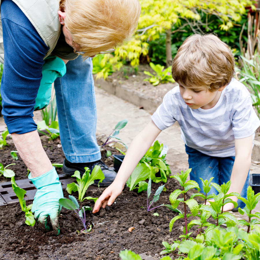 Park Seed tweet media