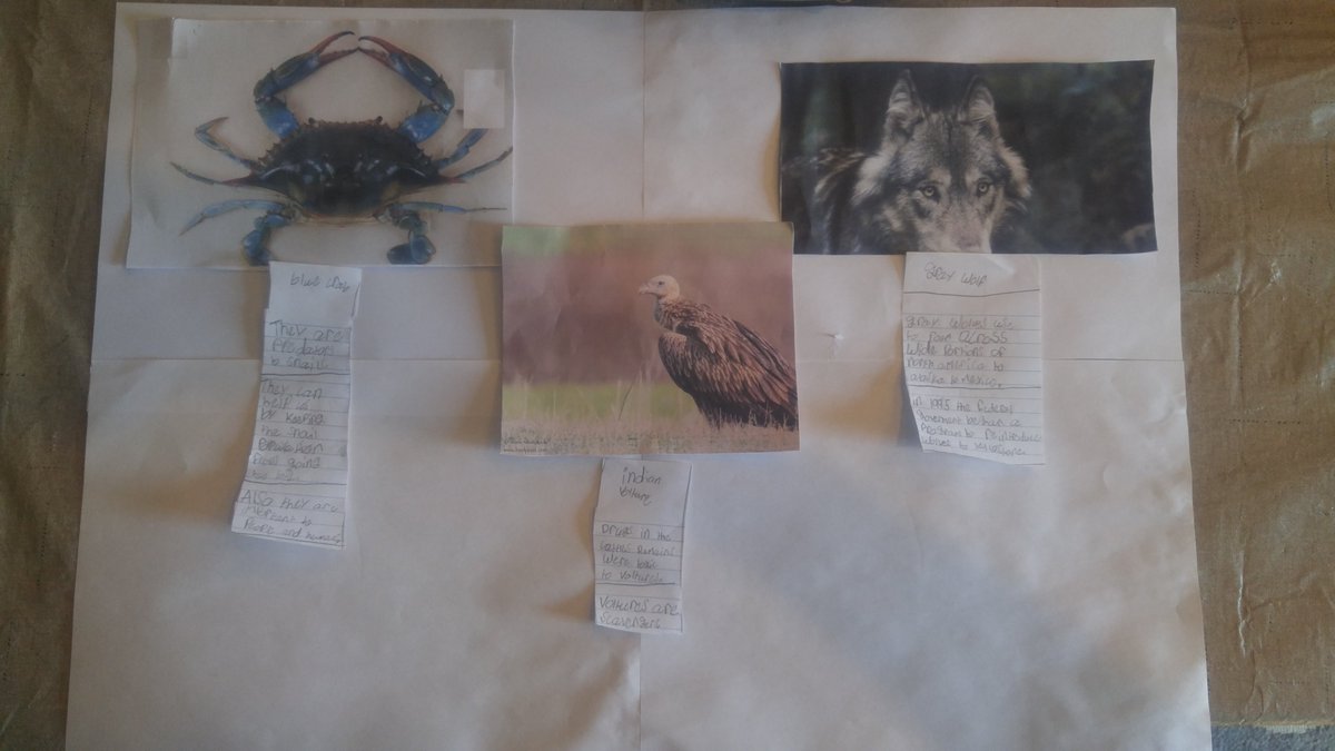 Nicole Tackett tweet media