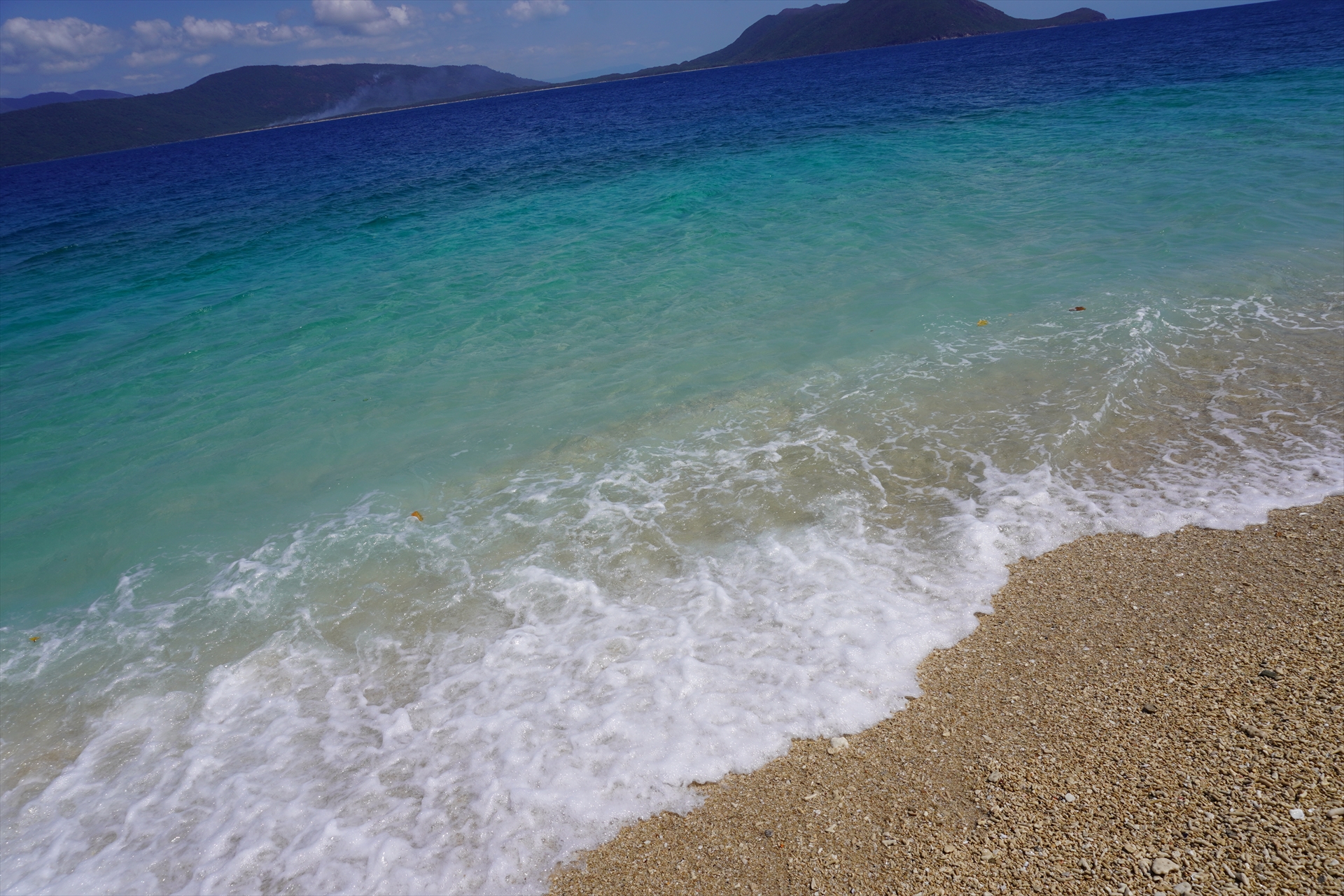 フィッツロイ島 Twitter Search Twitter