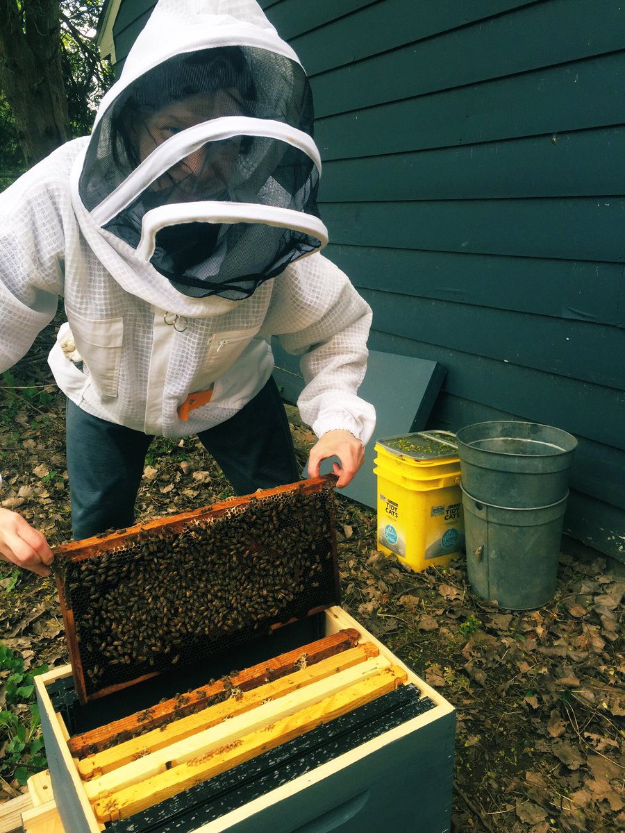 #EarthDay flashback to my first nuc install last May as a newbie to #beekeeping. A nucleus is a mini starter colony containing a laying queen, worker bees of all ages, brood, #honey, #pollen and 3-5 frames with drawn comb. Anyone have a nuc install coming up soon? @nature_MI