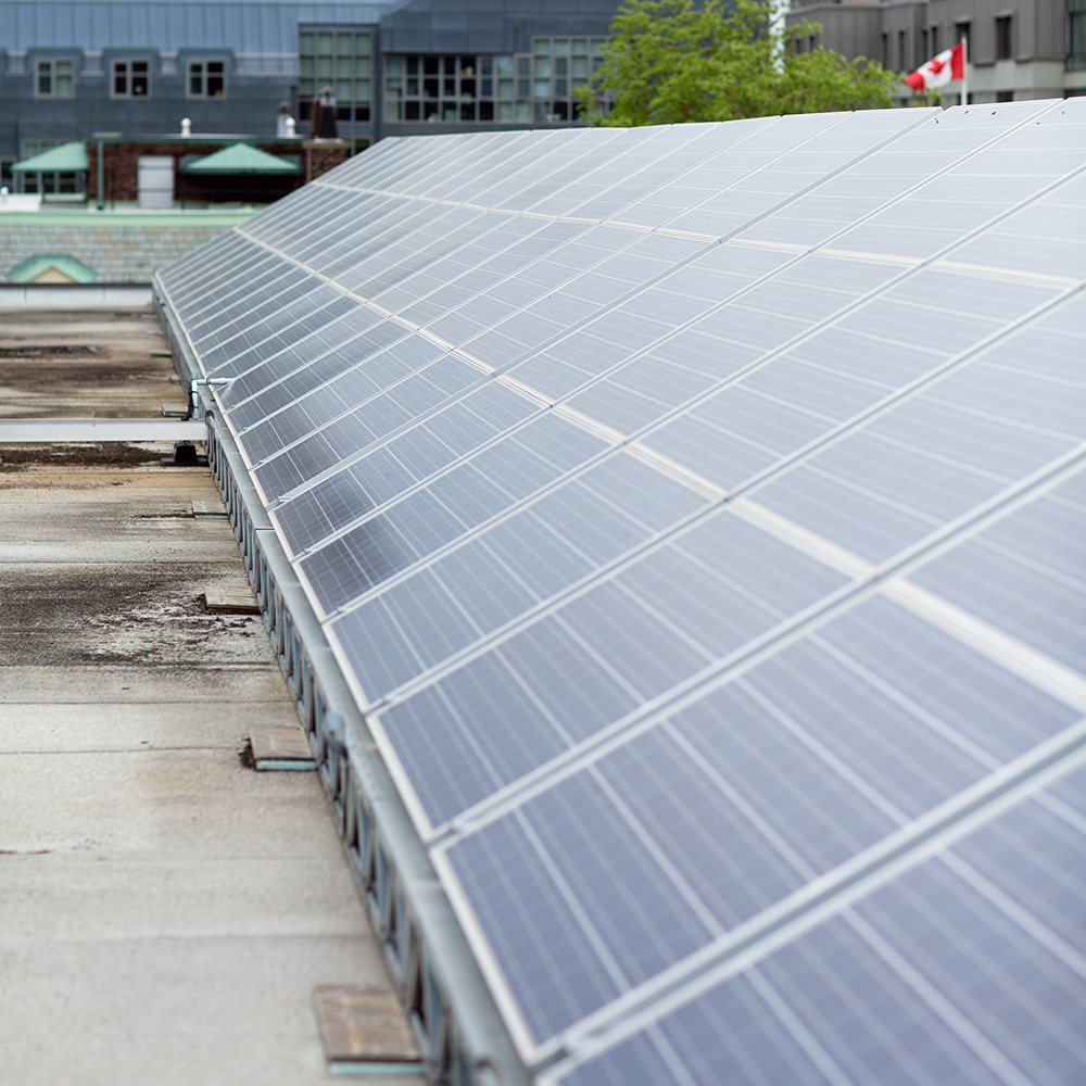 Trinity_College's tweet photo. Happy #EarthDay For today's #SpecialSpacesatTrinity, we're featuring rooftop #sustainability initiatives at Trinity College: St. Hilda's College Roof Garden; Urban Agriculture Project; Solar Panel on the Gerald Larkin Building; & Urban Beehives on Henderson Tower! #EarthDay2020 https://t.co/WS63EuTuIK