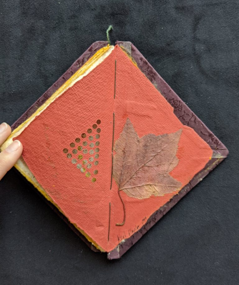 Kurt Allerslev’s "Hypotenuse" celebrates natural materials. The result is delicate and evocative, with each page a different tactile and visual experience from the incorporated flowers, leaves, and pigments as well as the texture and patterns of the papers.   #EarthOptimism