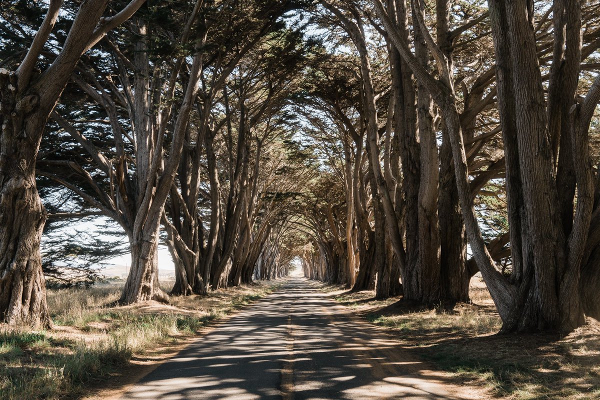 BrandonTormanen's tweet photo. Happy #EarthDay , can't wait until I can get back exploring this beautiful planet of ours.  Stay safe ya'll https://t.co/BTYQfdPdZY