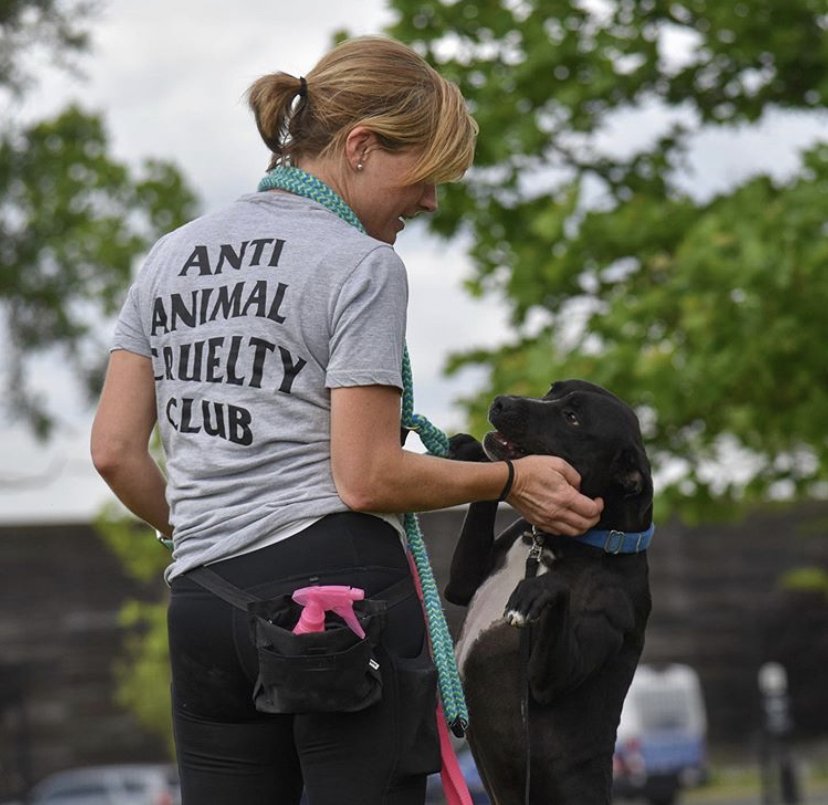 FranklinCoDog's tweet photo. #FCDSVolunteerHighlight Allison! She has volunteered over 4,000 hours since she became a volunteer at FCDS. Her dedication is inspiring. Thank you, Allison. 🐾 https://t.co/O39L6fHdqi