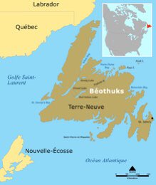 Massacre des BéothuksLes Béothuks étaient les habitants autochtones de Terre-Neuve au Canada durant le XIXe siècle. Avant que les anglais arrivent bien évidemment (extermination)Aujourd’hui, le peuple a été officiellement déclaré éteint