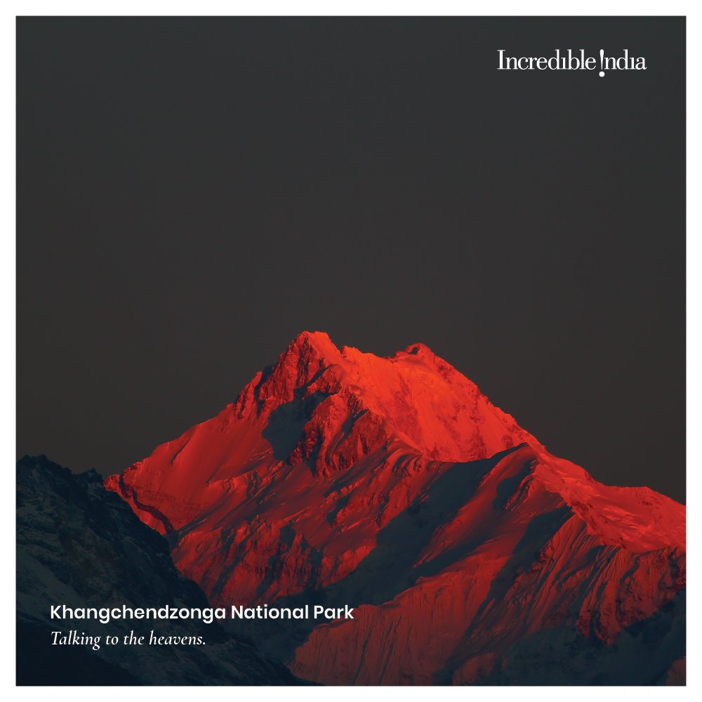 incredibleindia's tweet photo. Of spellbinding views, of exotic biodiversity, of undulating landscapes, of deep gorges, of lofty peaks – of breathtaking beauty, eight such geographical regions of India have been included in the list of UNESCO’s World Heritage Sites #MyIndiaMyHeritage https://t.co/SbCE31BYxe