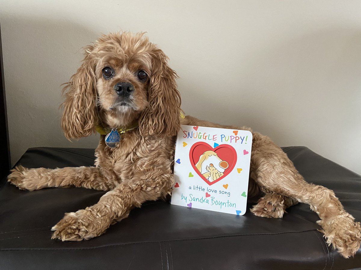 Penny is snuggling up with her favorite book! #d75learns #d75teacherspet