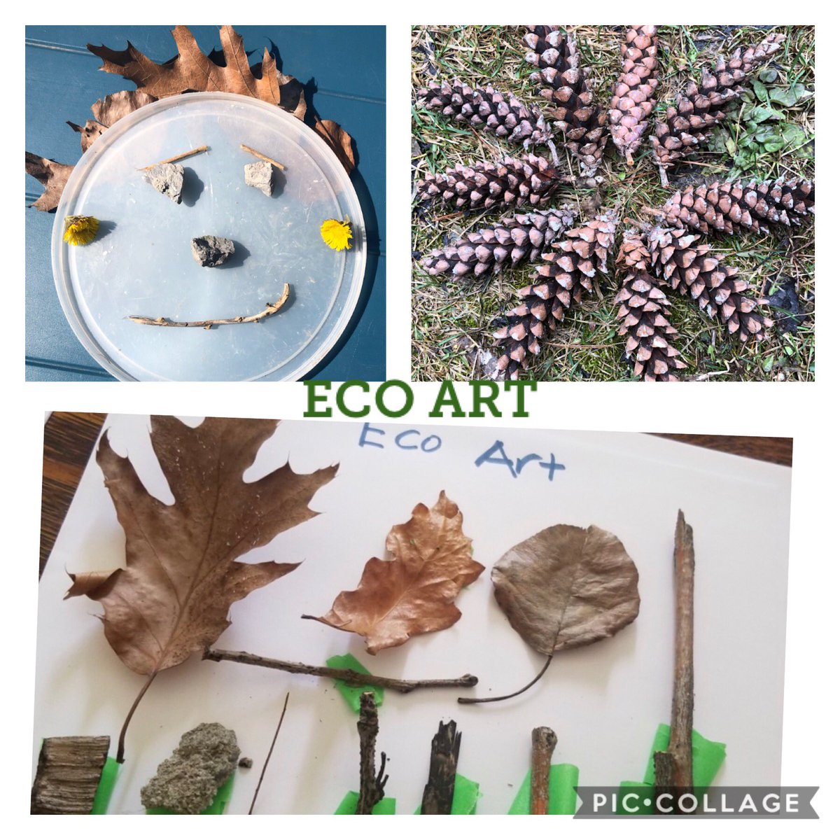 PatersonZan's tweet photo. It’s Earth Day! Do something kind for the environment, and show us some more Eco Art! https://t.co/b1JYrqR7zD