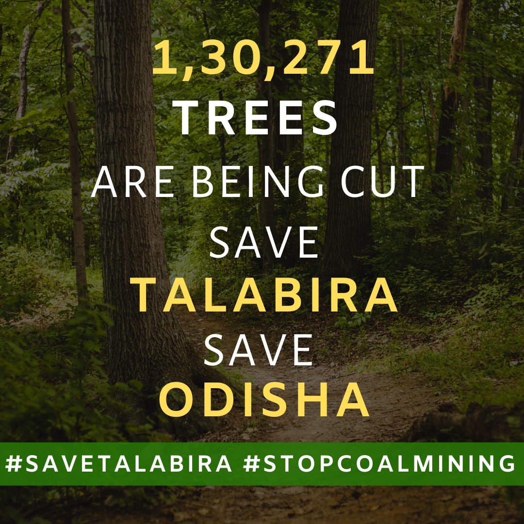 nahluwalia20's tweet image. Talabira forests abound in Sal, Char, Harda, medicinal plants-livelihood source for tribals. Adani is deforesting area for mining. “We have no land but only this forest. Where will we go", says a poor tribal @susantananda3
#IndiaNeedsClimateAction #SaveTalabira #StopAdani