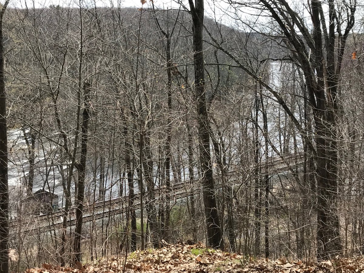 TathamWSPS's tweet image. Happy Earth Day! Last week, I took a walk through Mittineague Park and took this beautiful picture on top of Buffalo Mountain! Today, my kids and I will walk in our own neighborhood and pick up trash.  What will you do to celebrate/recognize Earth Day?