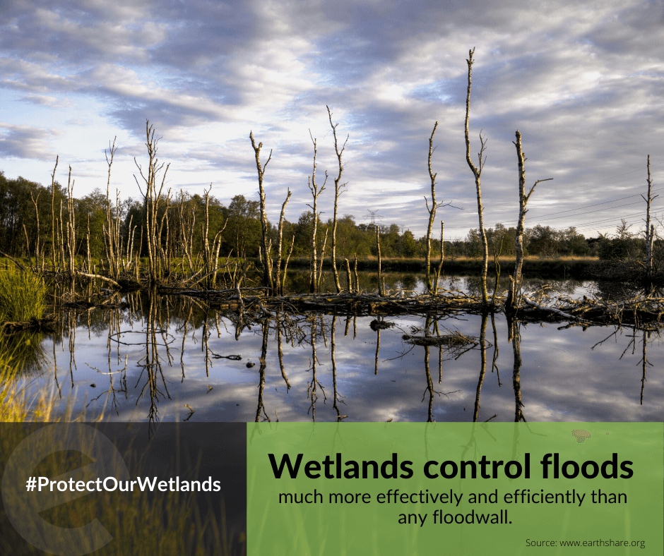 ecobotapp's tweet photo. Happy #EarthDay2020! We've included some special images to help spread the word to #ProtectOurWetlands. Please feel free to share these to your network as well. We hope you can step outside today to appreciate our beautiful Earth! https://t.co/EXTPK3bBM8