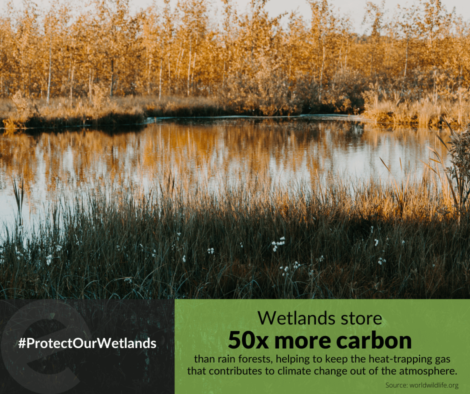ecobotapp's tweet photo. Happy #EarthDay2020! We've included some special images to help spread the word to #ProtectOurWetlands. Please feel free to share these to your network as well. We hope you can step outside today to appreciate our beautiful Earth! https://t.co/EXTPK3bBM8