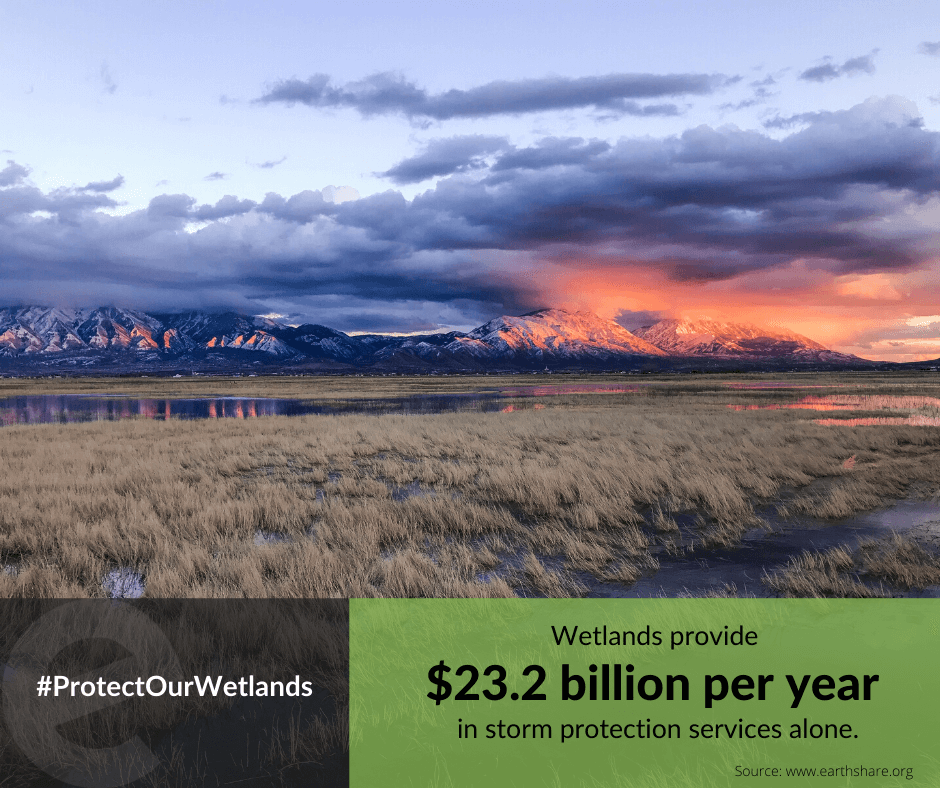 ecobotapp's tweet photo. Happy #EarthDay2020! We've included some special images to help spread the word to #ProtectOurWetlands. Please feel free to share these to your network as well. We hope you can step outside today to appreciate our beautiful Earth! https://t.co/EXTPK3bBM8