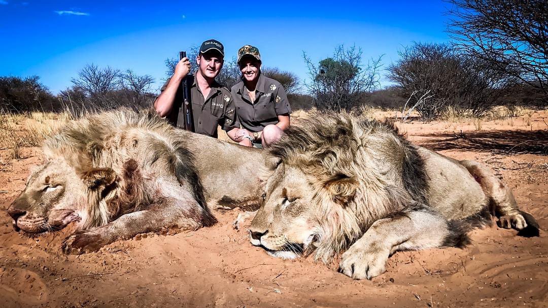 XposeTrophyHunt's tweet image. The life of a 'captive bred lion' is cheap in South Africa. Heinrich &amp;amp; Bianca van Heerden, This is Africa Safaris, pose with 2 beautiful animals killed on 1 day. Cuddled as cubs &amp;amp; then killed by trophy hunters for their profit.😒
#BanTrophyHunting 🙏🏼RT
@zbleumoon @missgemcollins