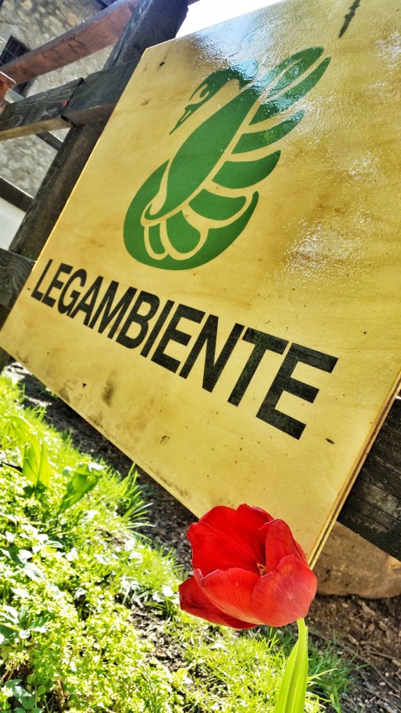 PrimalpeCanzo's tweet photo. Oggi giornata della Terra da #Primalpe un augurio affinché ci sia più rispetto della #biodiversita della bellezza e delle risorse naturali. Emergenza climatica la nostra sfida insieme all’emergenza sanitaria #abbracciamola #EarthDay @LegambienteLomb https://t.co/CADiu4soNt