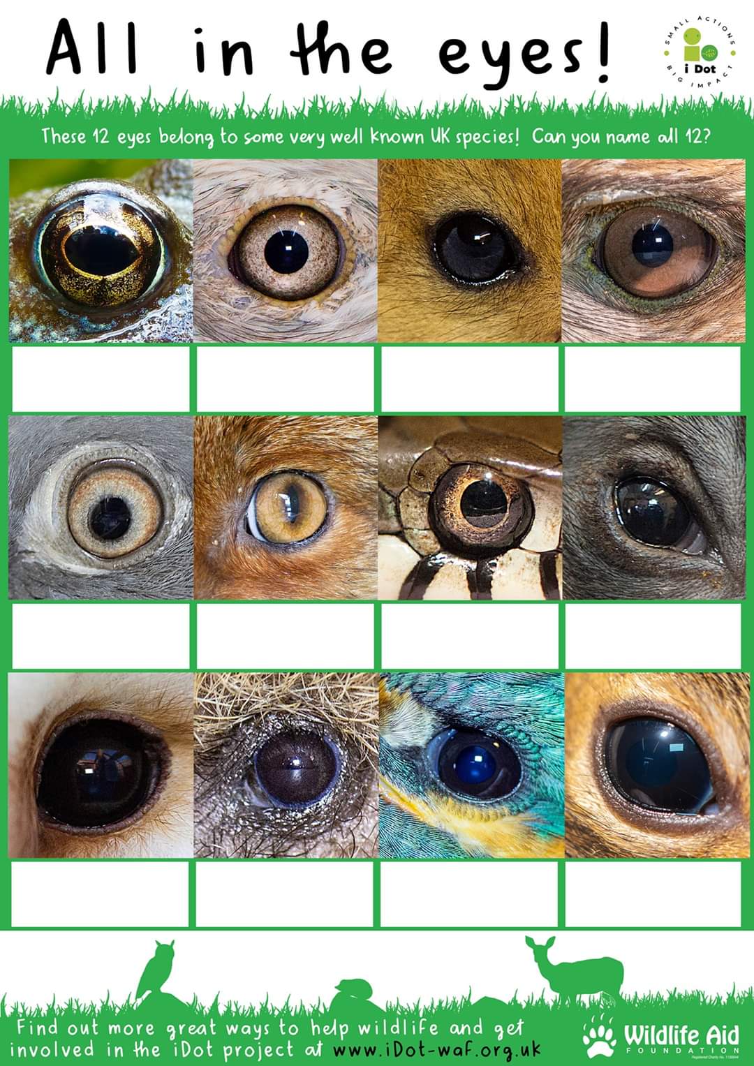 Wildlife Aid on Twitter: Wildlife Aid on Twitter: