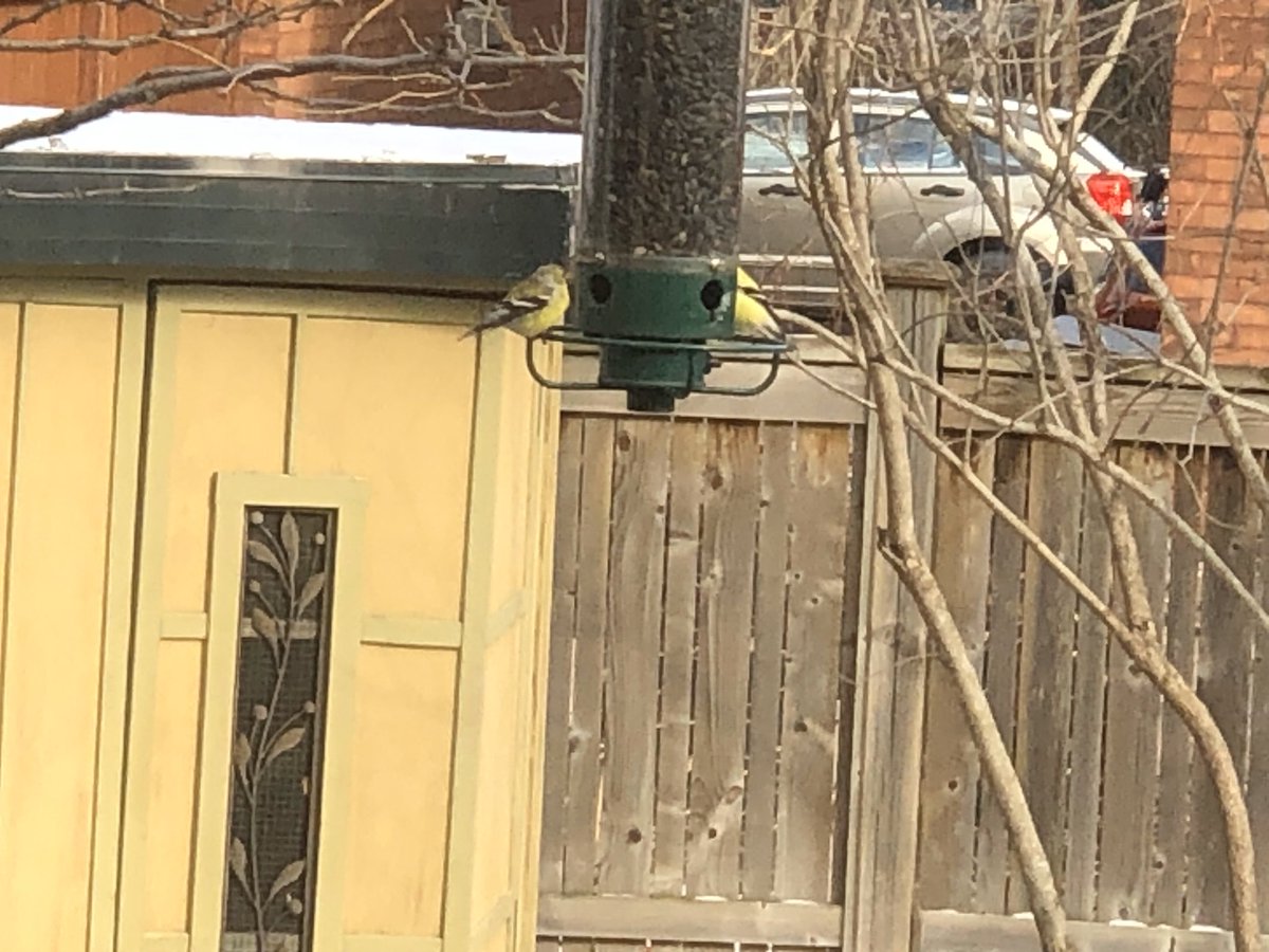 Day 1/7 of my life in pictures. No people, no description.

I challenge <a href="/VivienC12/">VivienC</a> to share her life in pictures. No pressure. 😊