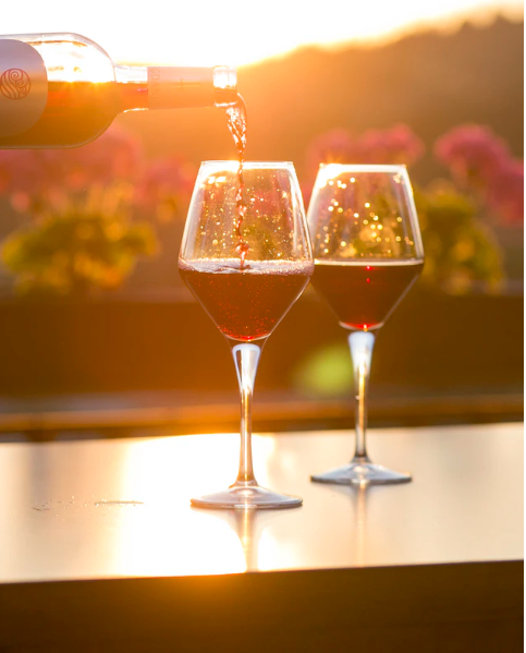 Ready for the Sun? 🌞 - mailchi.mp/06d162816396/r…
Our most refreshing wines ready to keep you cool!