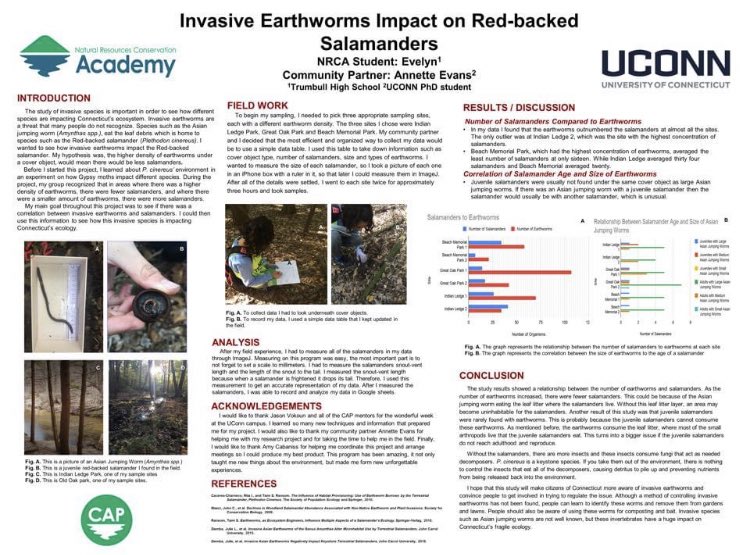 annetteNZevans's tweet photo. So proud of the high school student I’ve been mentoring who just did an amazing virtual presentation of her @UConnNRCA poster on her research project on the impacts of invasive earthworms on #Plethodon salamanders in CT. 

#VirtualConference #HERper #Herpetology https://t.co/ATbLnMVQRw