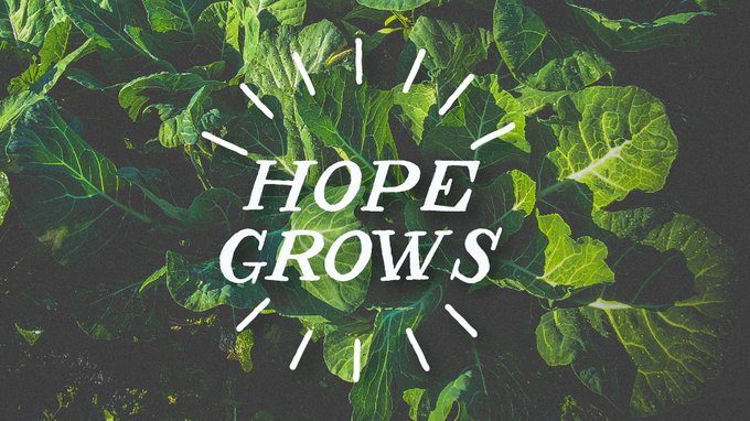 Watch Facebook's leaked NSFW photo on TwXstars