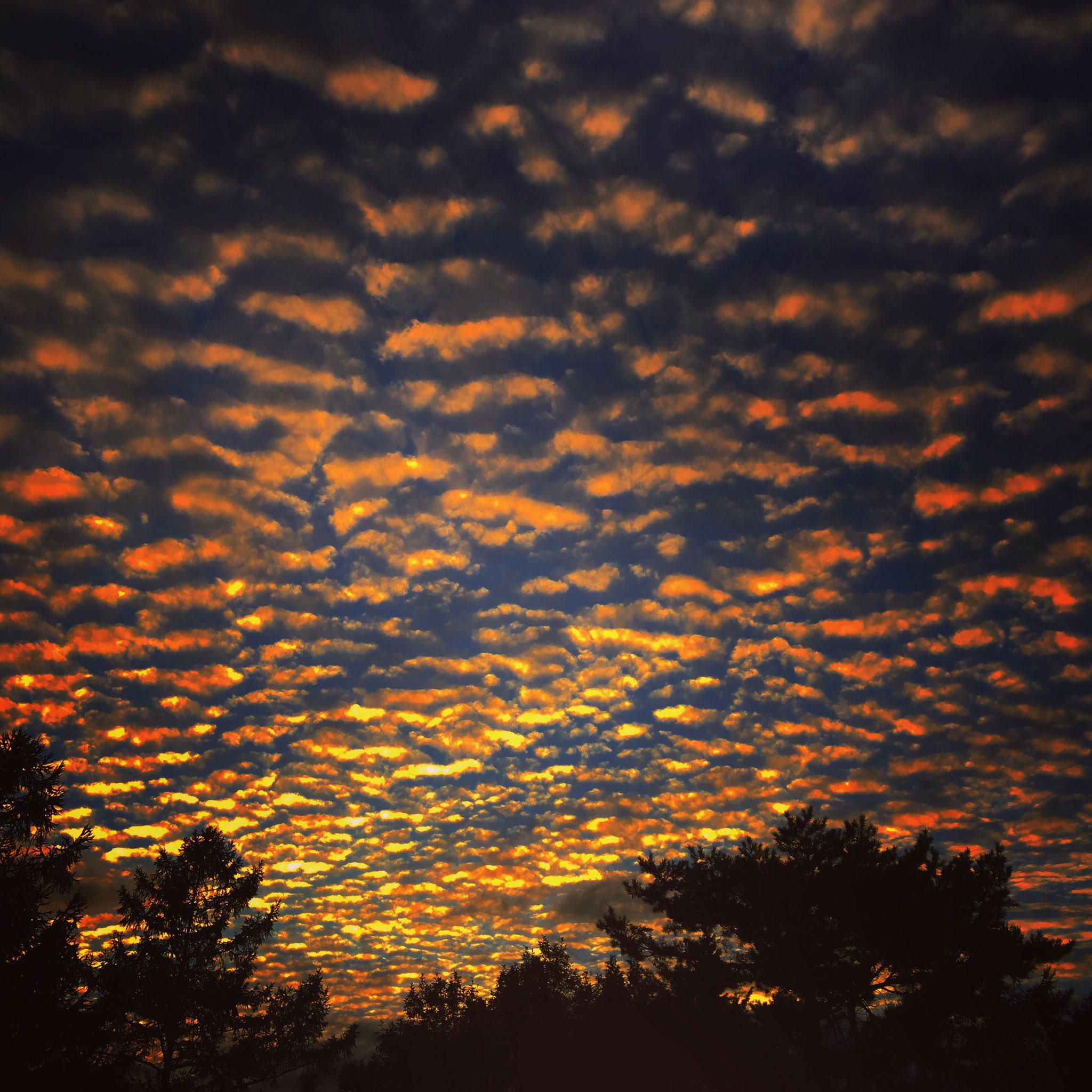 今井建設 夕焼け雲が綺麗でした 夕焼け 夕焼け空 夕焼け雲 空 雲 長野 富士見町 Sky Sunset T Co I4cvriafk7 Twitter 今井建設 夕焼け雲が綺麗でした 夕焼け 夕焼け空 夕焼け雲 空 雲 長野 富士見町 Sky Sunset T Co I4cvriafk7 Twitter
