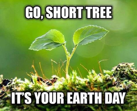 SarahAtDell's tweet photo. Happy Earth Day! #EarthDay2020 #ProtectOurPlanet #EarthDayAtHome https://t.co/08UEjIl41j