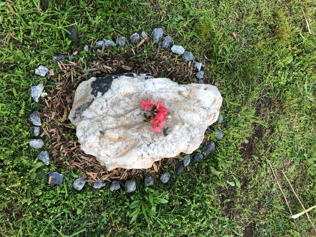 AndersonDist3's tweet photo. What a great way to celebrate Earth Day! π
Mrs. Sarah Jordan's middle school art students studied environmentalist and land artist Andy Goldsworthy. Students were challenged to create radial art using natural objects around their homes. #A3eLearning https://t.co/BrQXrlJvZS