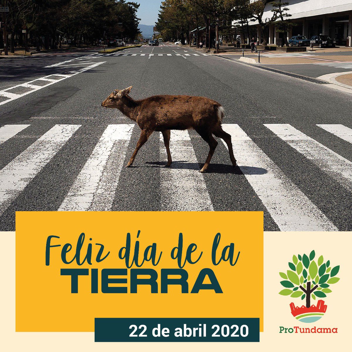 La naturaleza nos enseña amor, cuidado, belleza y respeto 🌻 Hoy en su día devolvámosle un poco de todo lo que nos da ♻️ Cuidemos nuestro planeta! .
.
#Protundama #Boyaca #diadelatierra #diainternacionaldelatierra #cuidemoselplaneta🌎