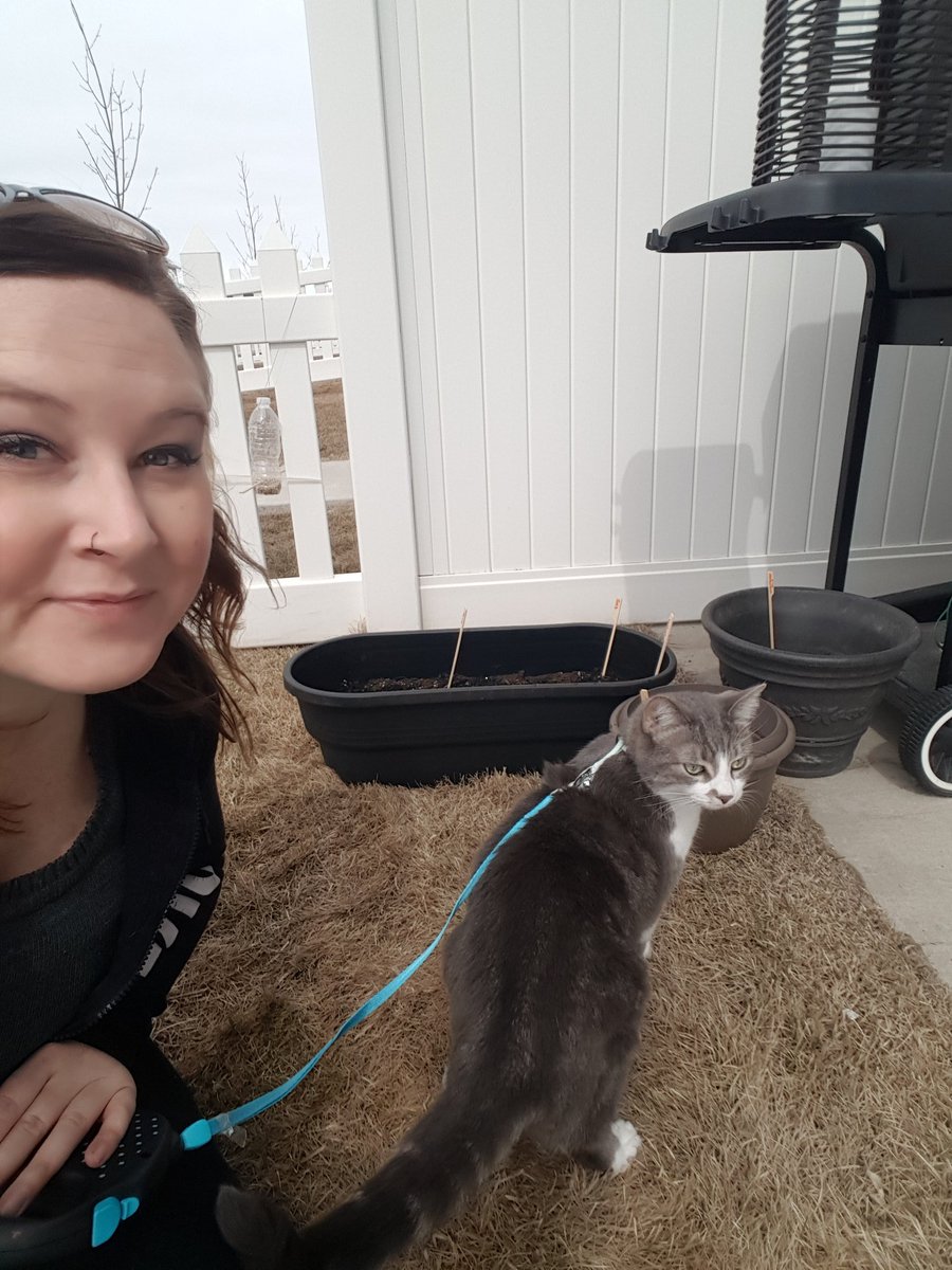 LeadWench's tweet photo. Happy Earth Day! Planted cucumbers, tomatoes, lettuce, peace, and some wildflowers in pots! Furbert is now investigating my work. @BVYXE #bearsoutofhibernation https://t.co/CeRM8EyHHq
