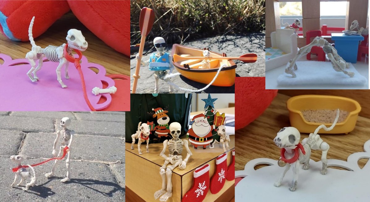 NOSMLibrary's tweet photo. A while ago, we had a contest to collect names for Captain Jack’s cat and dog. Can you help us decide the best ones? Poll is below! https://t.co/wpLggUA32X