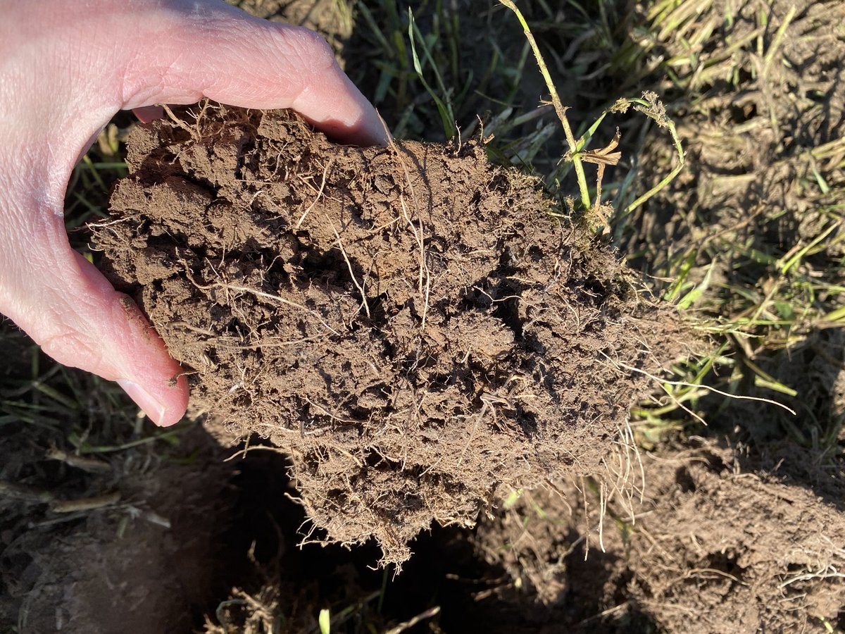 Grass Science Seeds Biogas tweet media