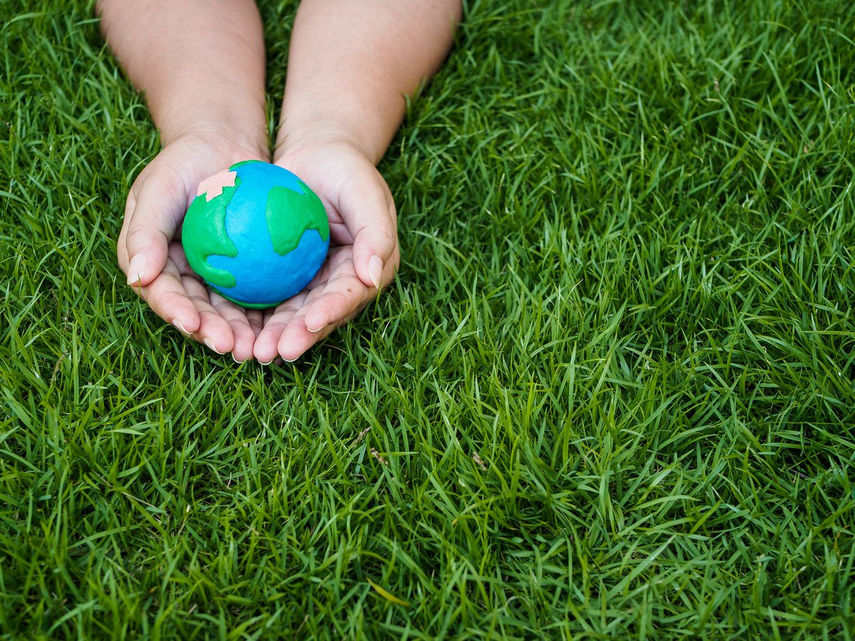WeSeedAmerica's tweet photo. Today is a great reminder to get out and enjoy the #outdoors safely and responsibly, and be grateful for our green spaces. #Grass #Spring https://t.co/7IN27WMJfG https://t.co/pNRVq2fy2d