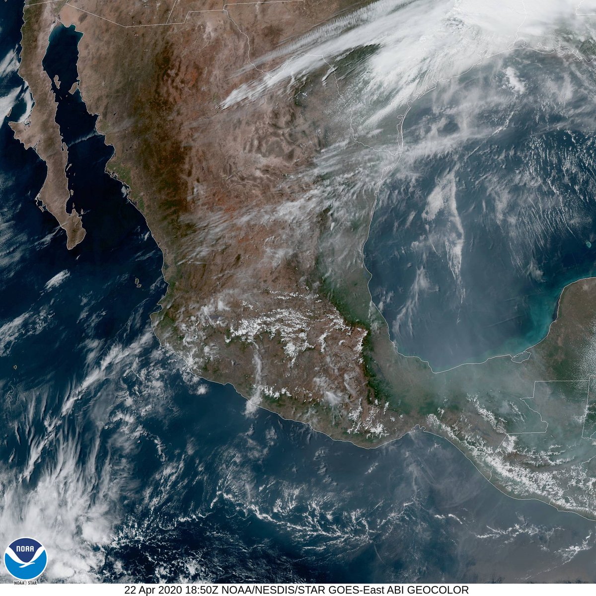 SkyAlertStorm's tweet photo. ☀️Ambiente cálido en zonas del occidente, noreste, oriente, sur y sureste con valores hasta 43 °C.

⛈Lluvias/tromentas en EdoMex, CDMX, Hgo y Mor; dispersas en NL, Mich, Pue, Tlax, Oax y Chis.

⚠️Precaución por posible granizo, actividad eléctrica y rachas de viento⚠️ https://t.co/g8pS5ZdTjc