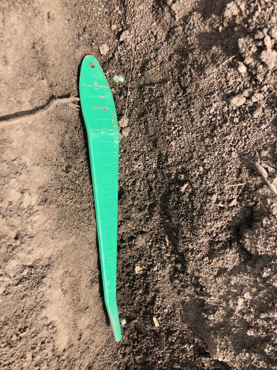 Adequate soil moisture and temperature, perfect planting depth and seed spacing!! Planting conditions here are 👍🏻!!  On track this year for exceptional stand counts after a rough year last year out of the ground. 🌽🌽🌽